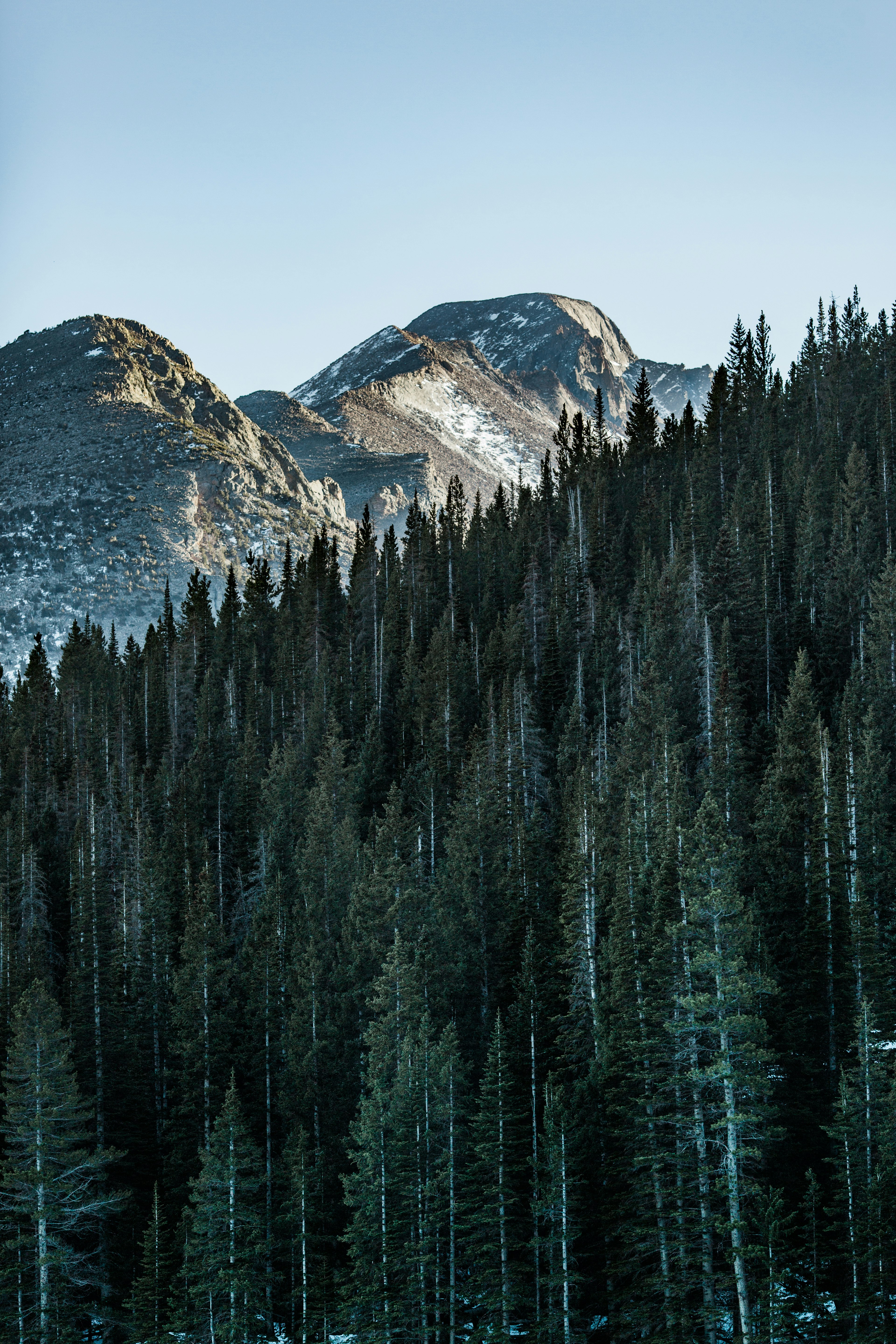 trees near mountain under blue sky during daytime